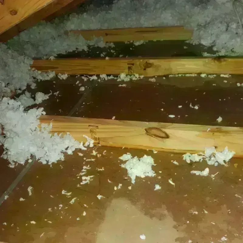 Attic Water Damage in Sheridan, AR