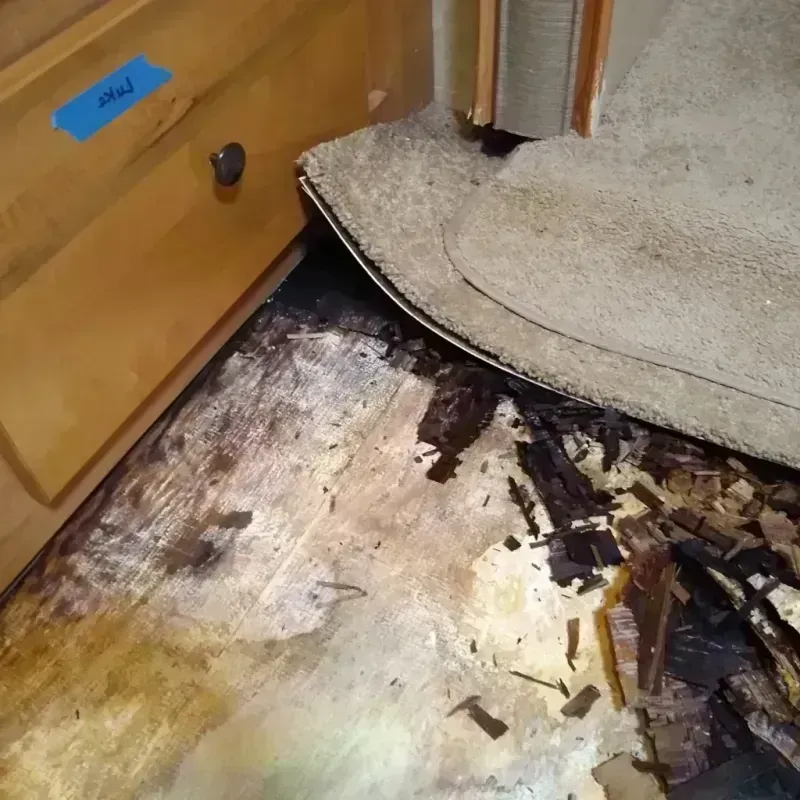 Wood Floor Water Damage in Sheridan, AR